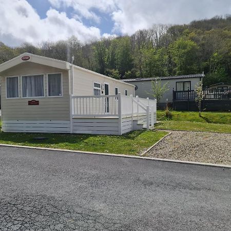 The Tiddler - Plot 101, Woodlands Lodge Retreat, New Quay, West Wales Llanina Exterior foto